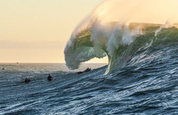 Risk Management Surf
